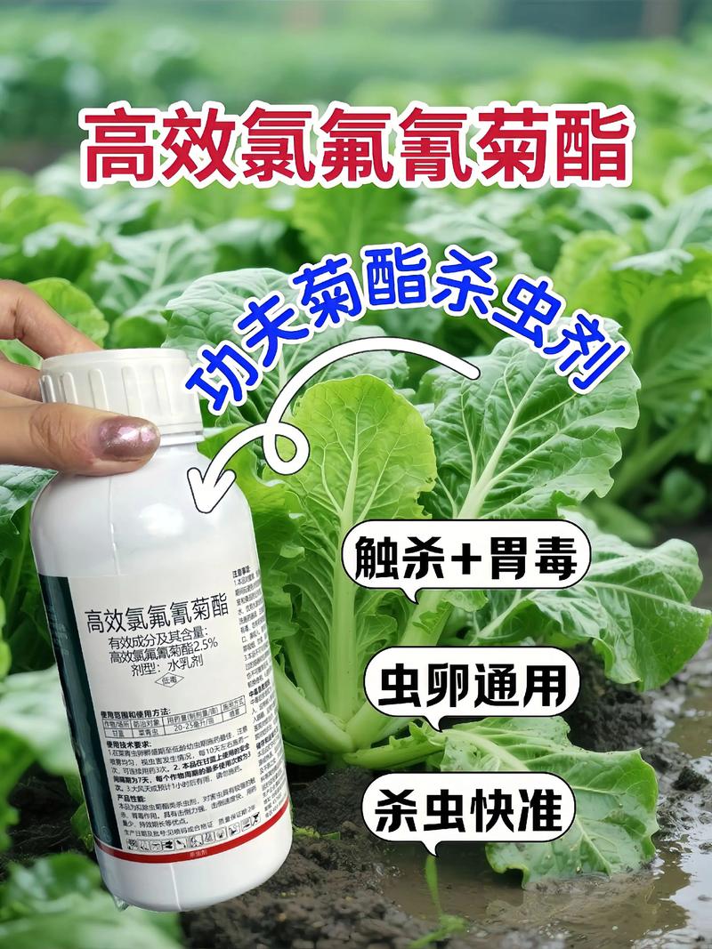 浦东代生中心:农药对供卵代生妈妈的危害